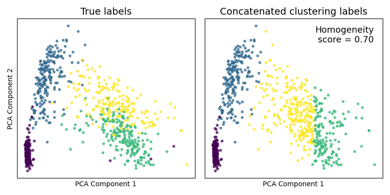 True labels, Concatenated clustering labels