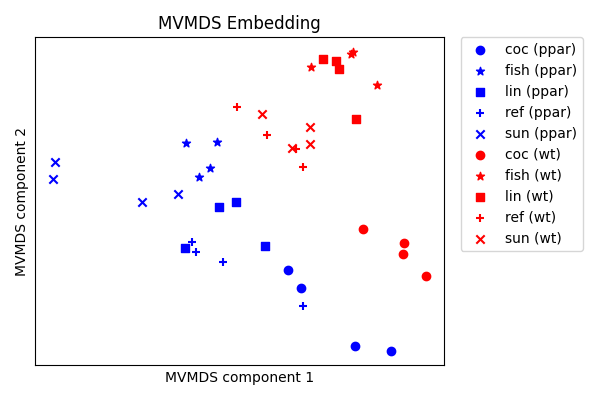 MVMDS Embedding