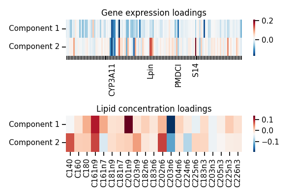 Gene expression loadings, Lipid concentration loadings